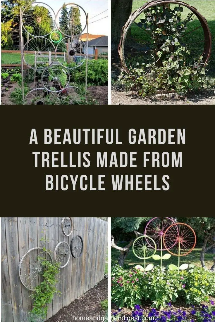 A beautiful garden trellis made from bicycle wheels