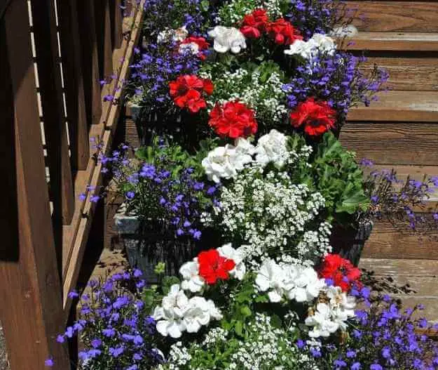 17+ Fun 4Th Of July Decorations For Your Garden This Patriotic