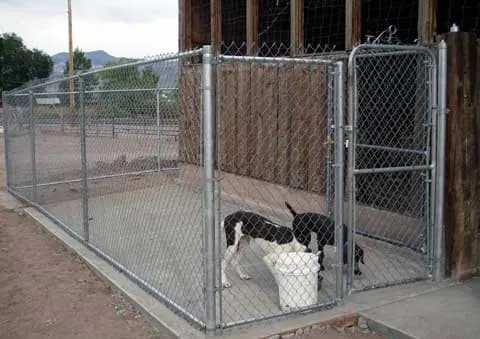 Chain link fence ideas for dogs