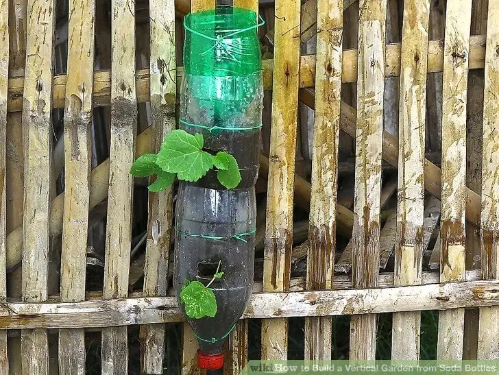 A Vertical Garden from Soda Bottles