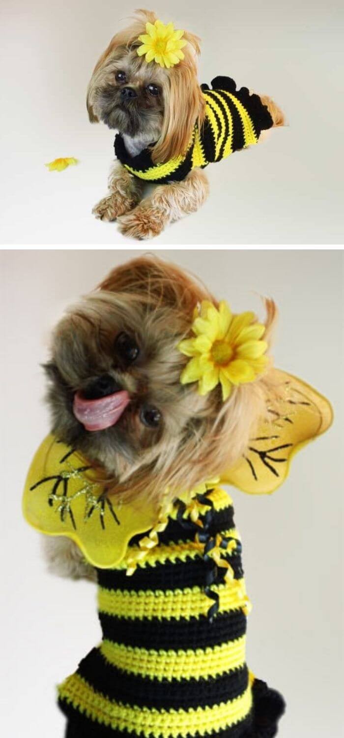 Bumble bee dog sweater