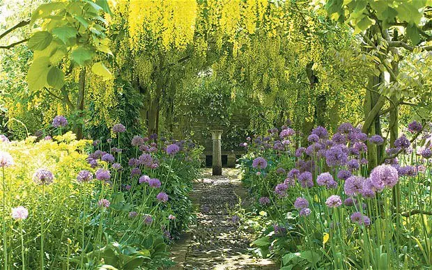 The Laburnum Walk