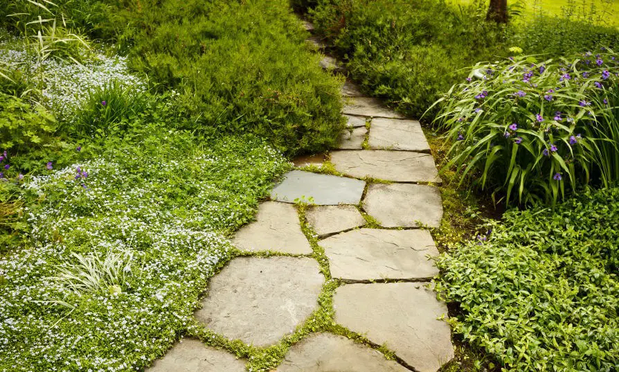 Lettered Stone Garden Path