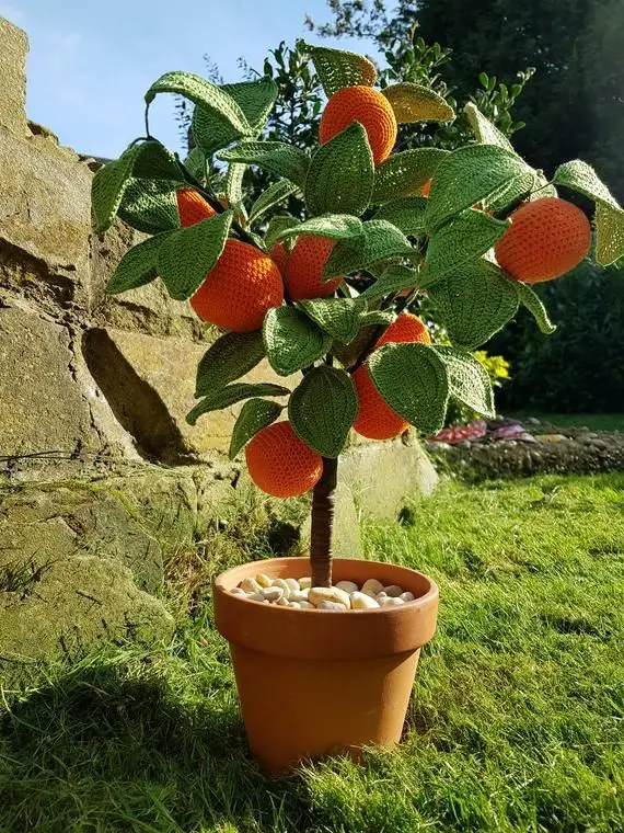 Crochet Orange Tree Plant