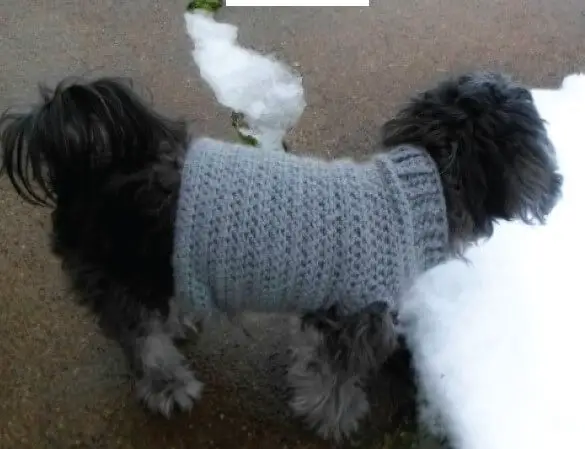 Extra small dog sweater