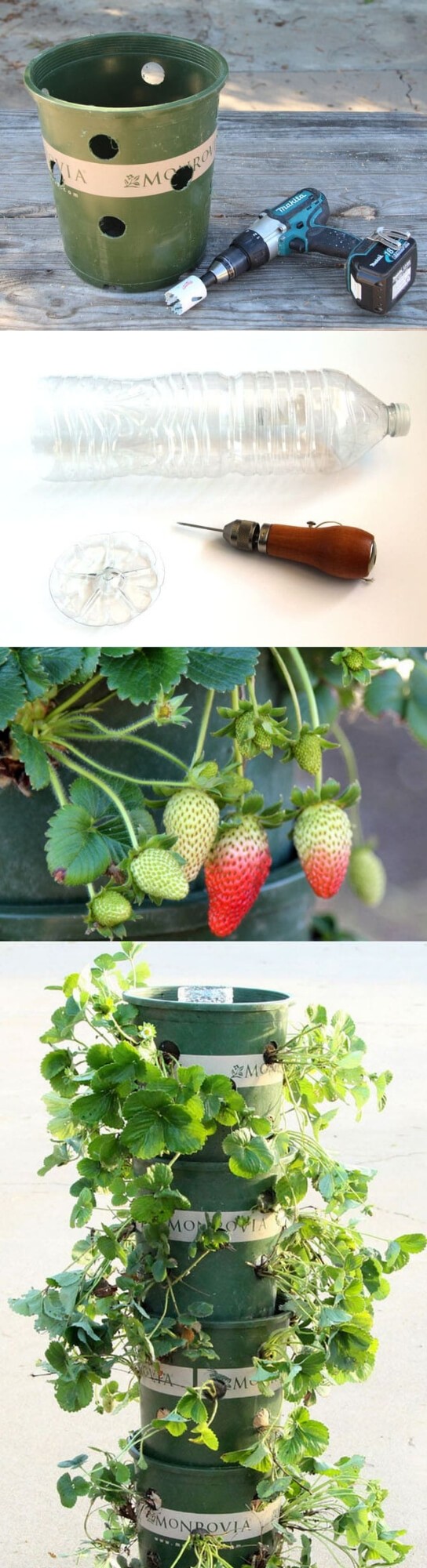 DIY Strawberry Tower With Reservoir