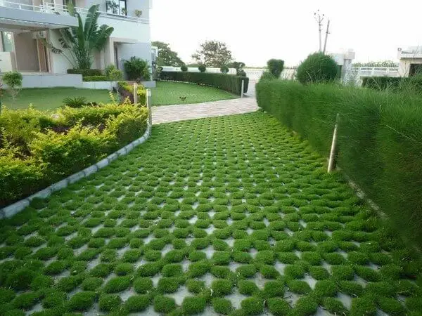 Pavers and grass