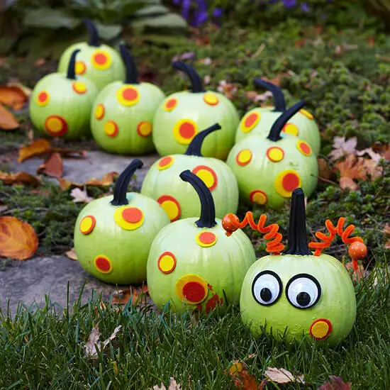 Caterpillar Pumpkins