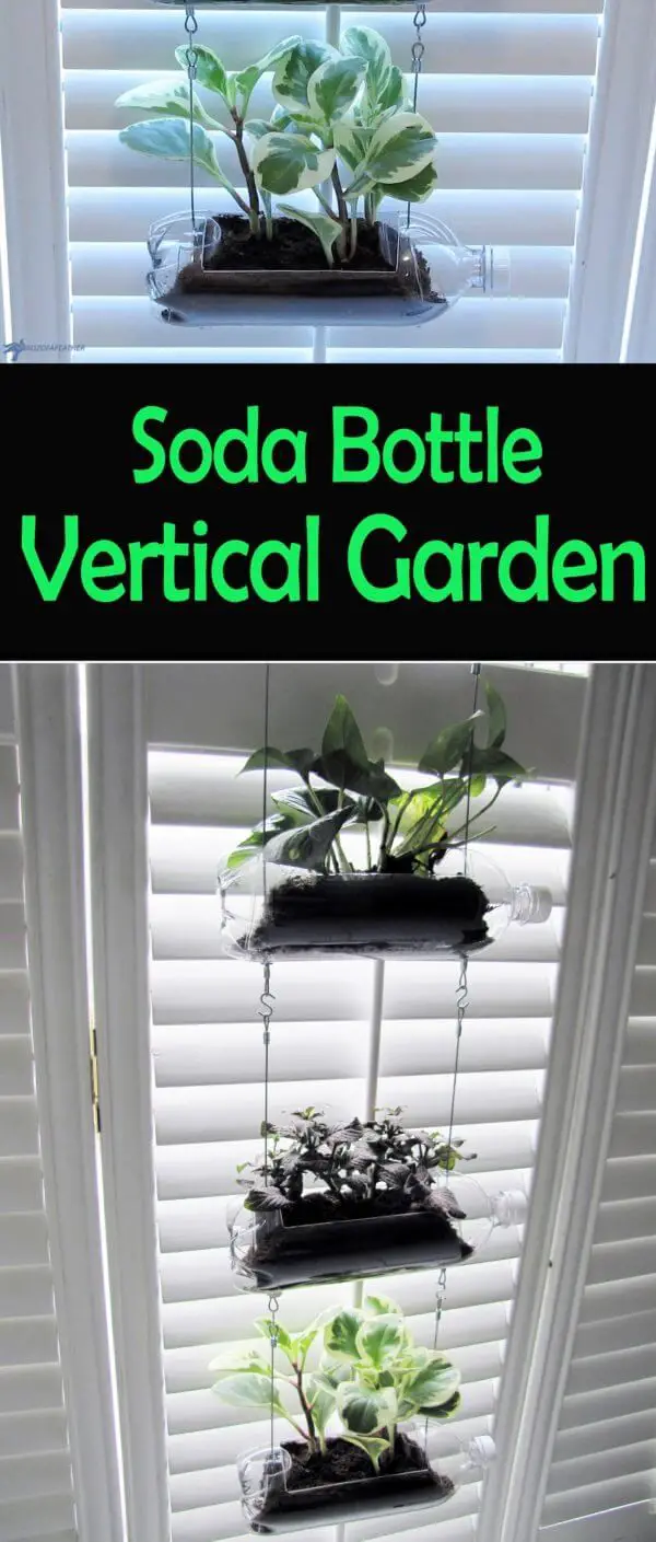 Upcycled Soda Bottle Vertical Garden