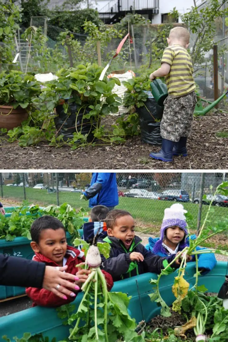 #7. Pint-Size Gardens for Pint-Size Gardeners