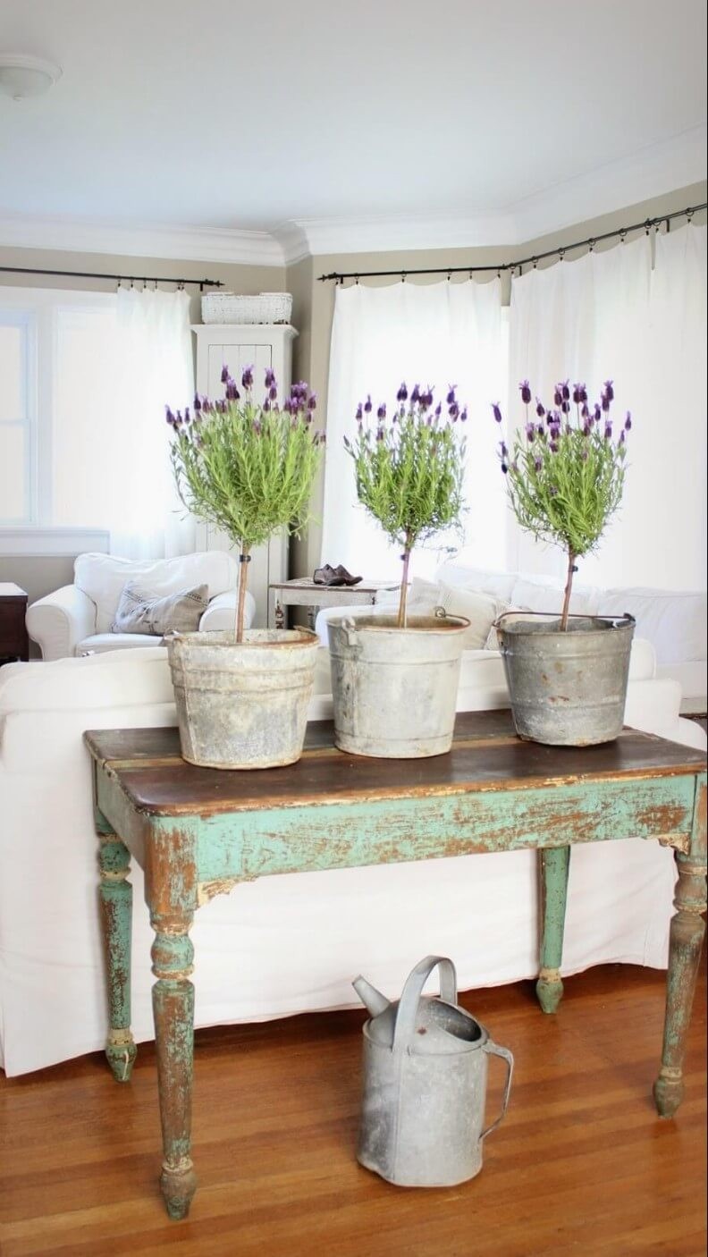 Rustic table with indoor planters