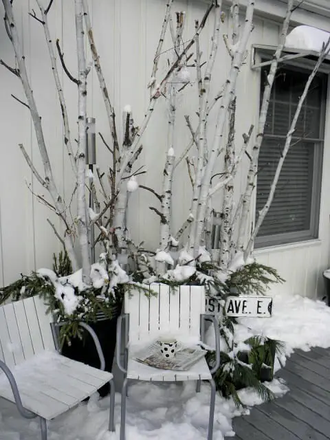 Snow tree