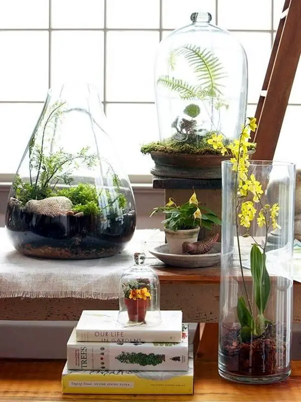 And many more indoor garden ideas…