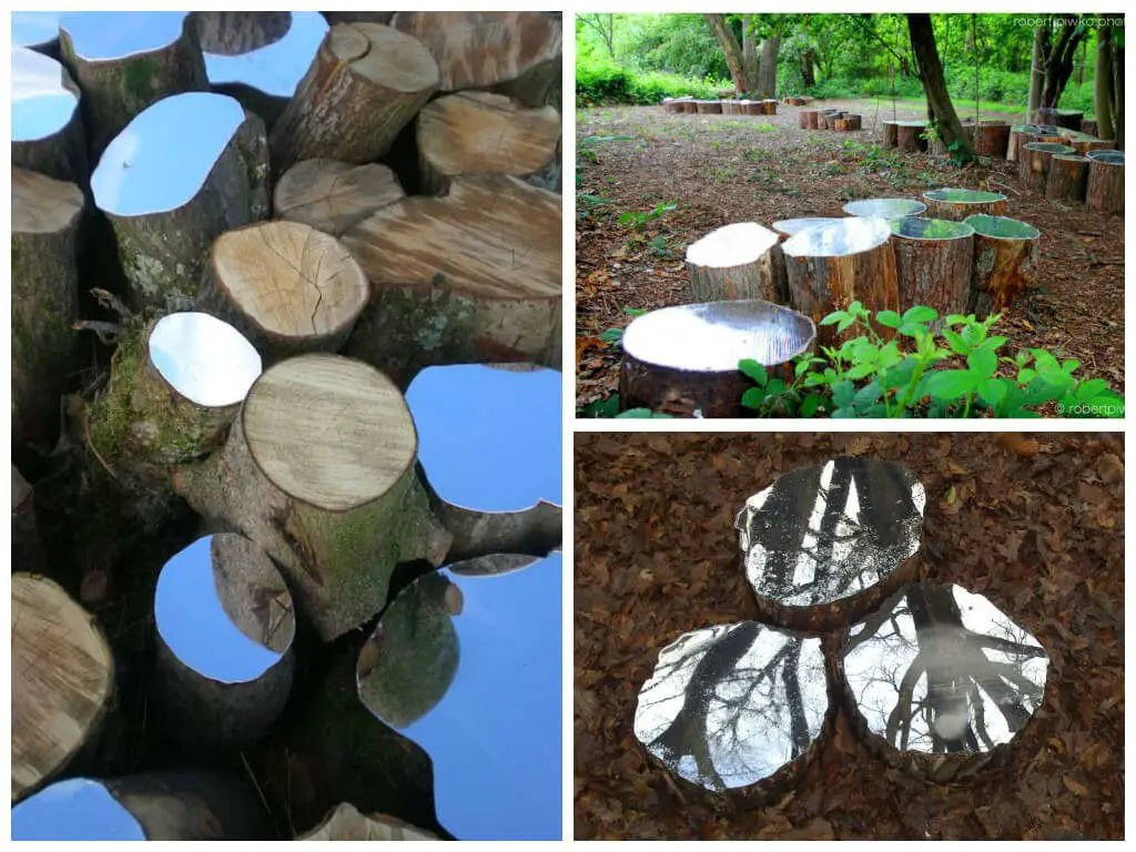 Decorate Tree Stump with Broken Mirrors