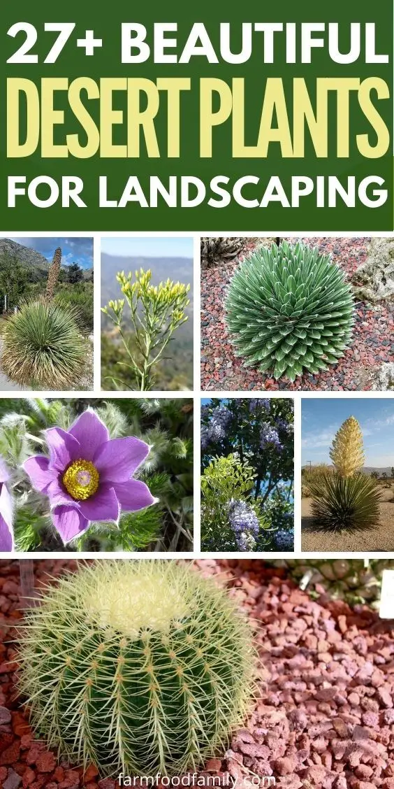 27 Desert Plants With Names And Pictures (Flowering, Edible, Poisonous, And More)