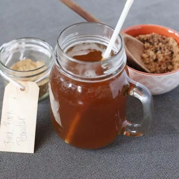 Homemade Birch Beer