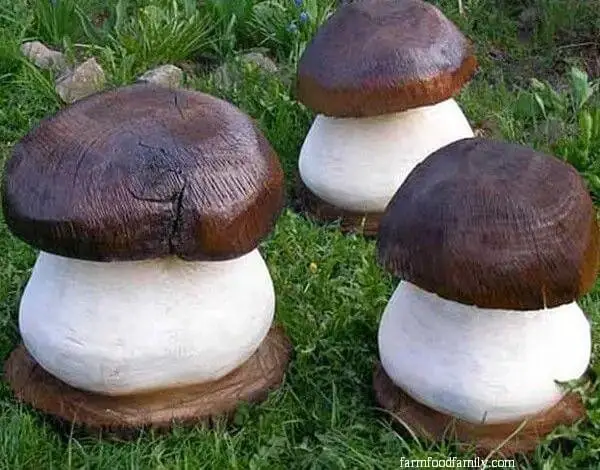 Garden mushrooms