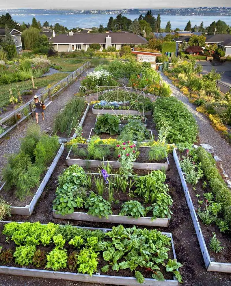 Vegetable and Herb Gardens