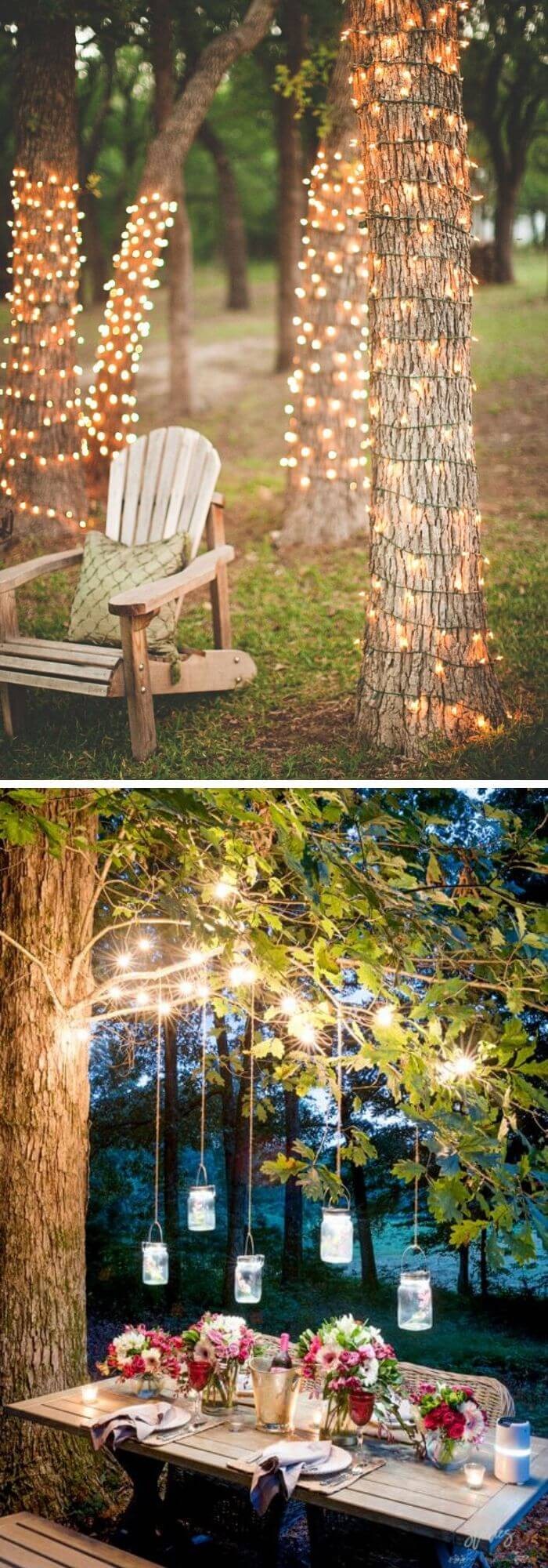 A Backyard with Lightened up Trees