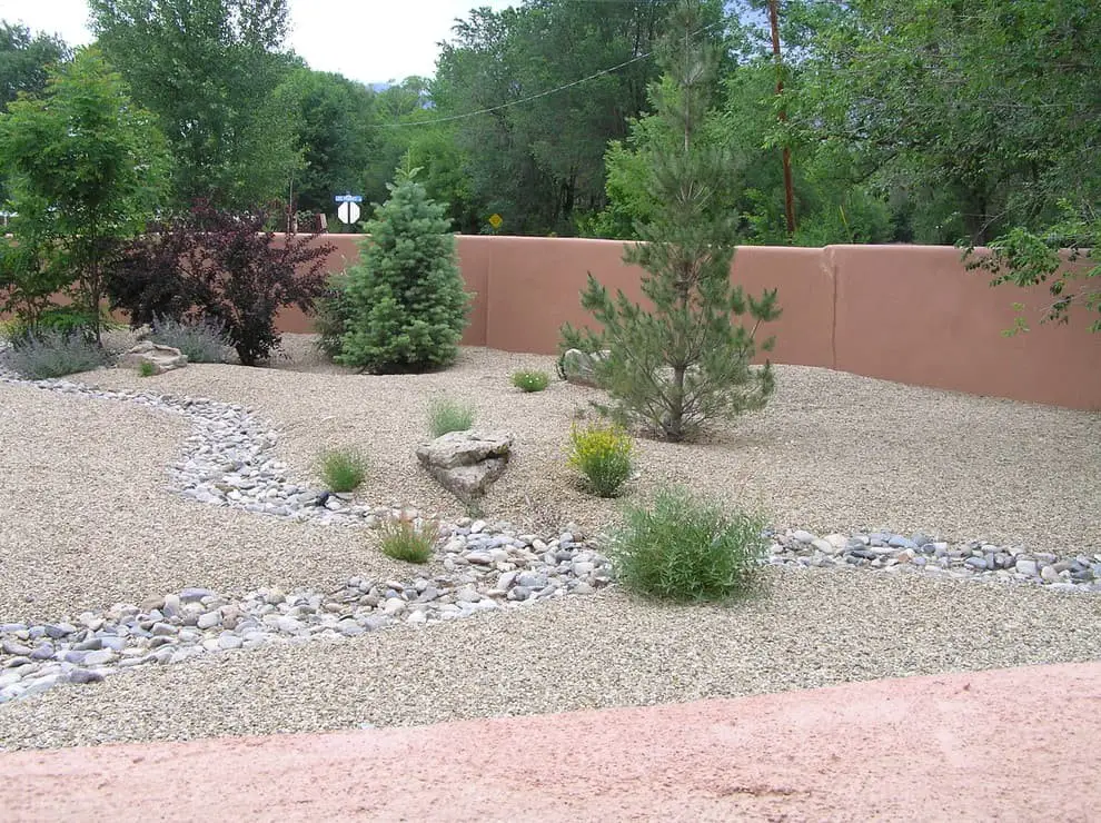 #10. xeriscape your yard.