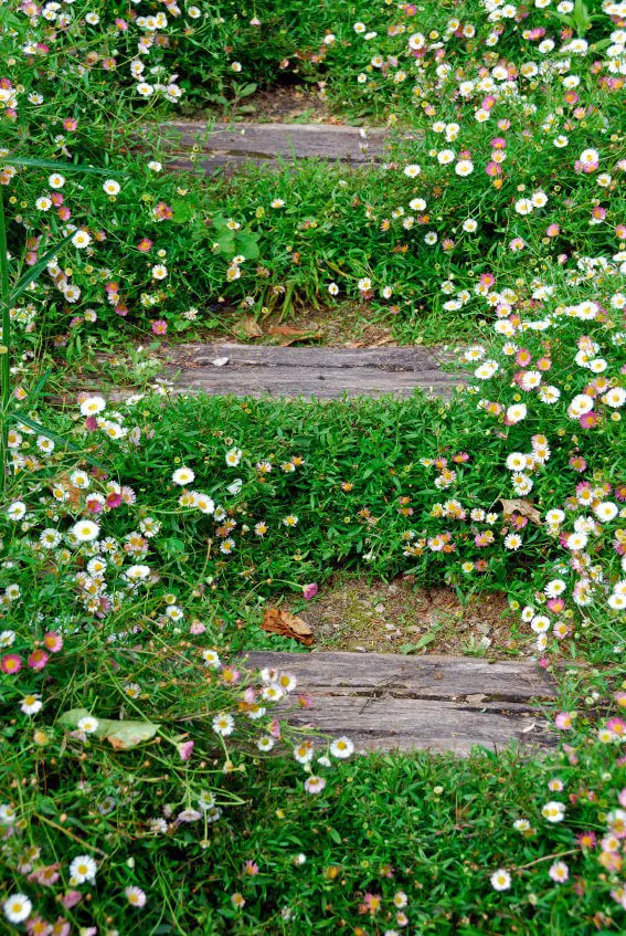 Lettered Stone Garden Path