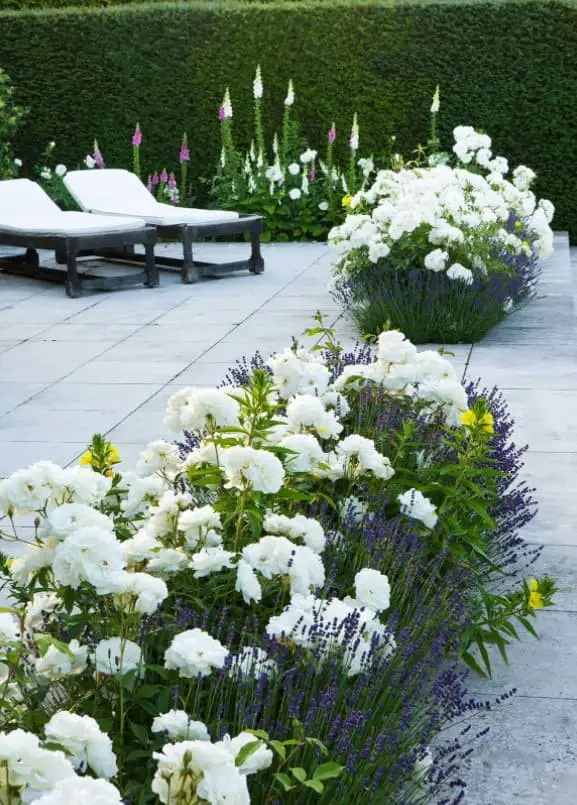 Small patio flower beds