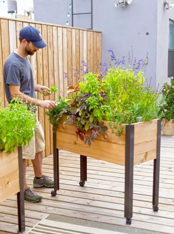 Portable raised garden beds