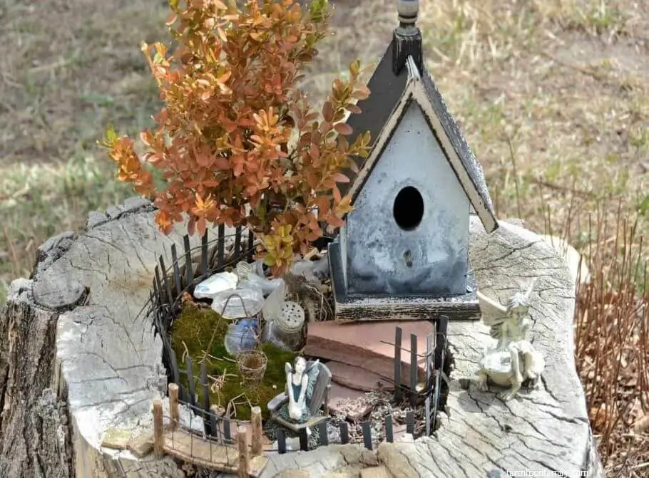 Fairy garden arrangement