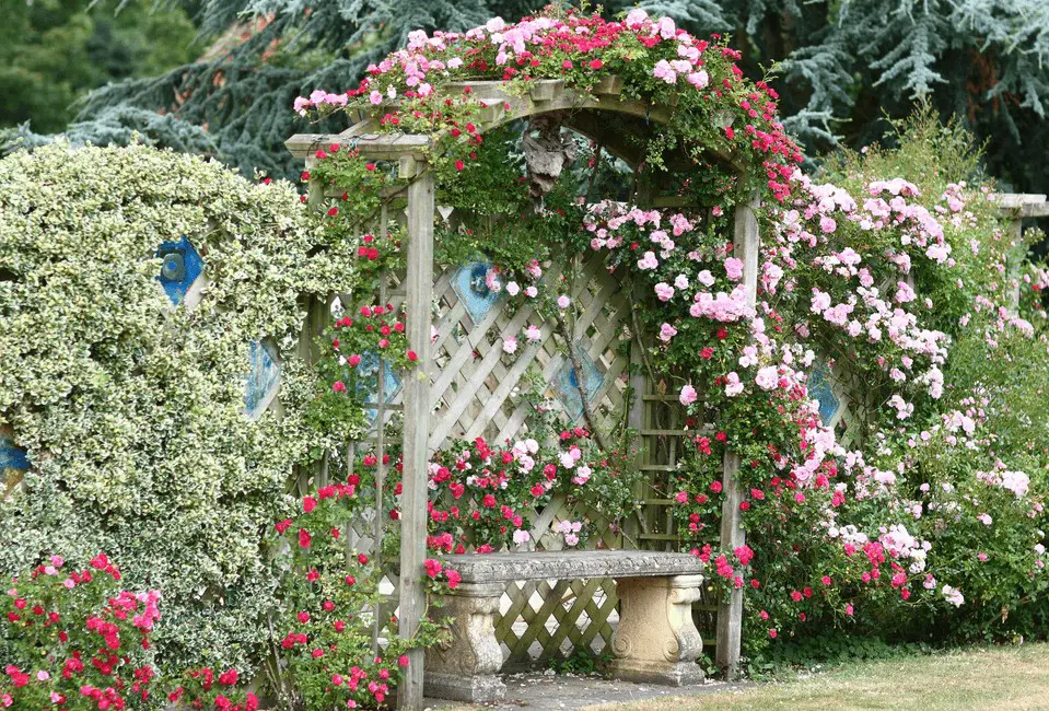 Paths in Cottage Style Garden Ideas