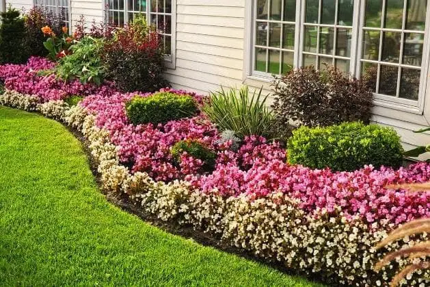 Perennial Flower Beds