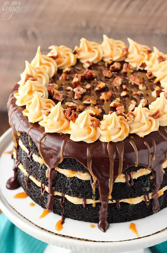 Turtle Chocolate Layer Cake