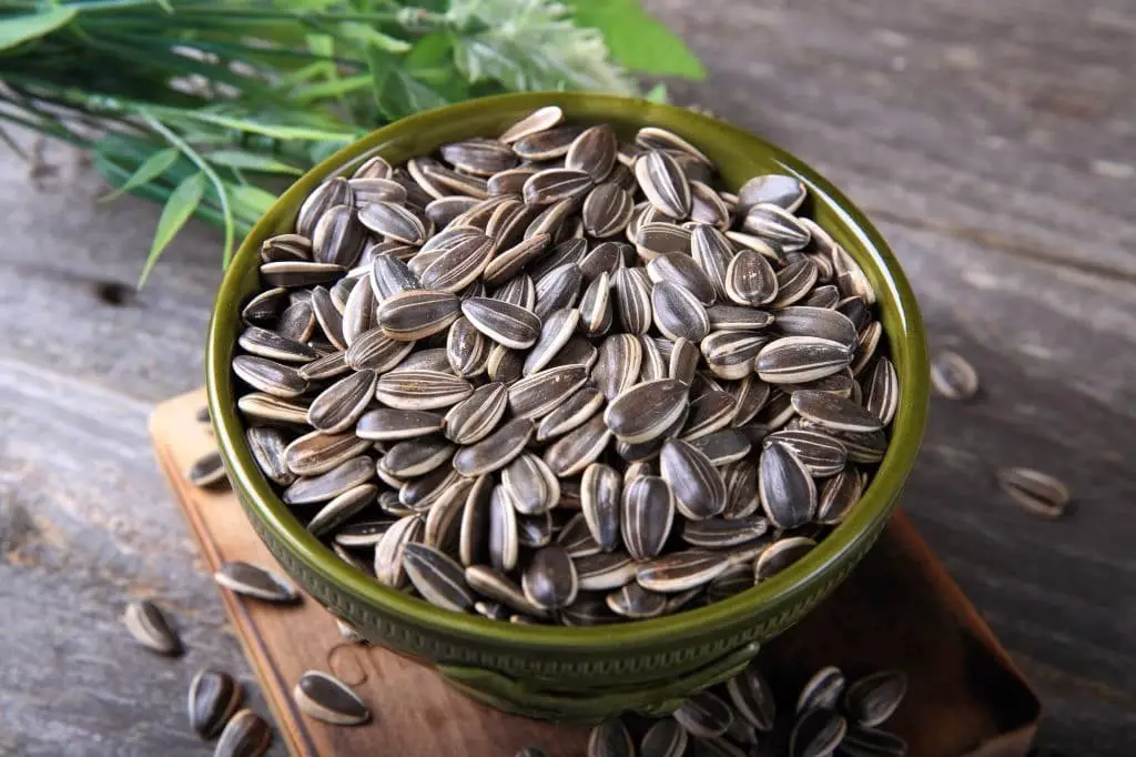 Sunflower Seeds