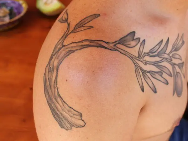 #2. The shoulder olive branch tattoo symbolizing peace and dignity.