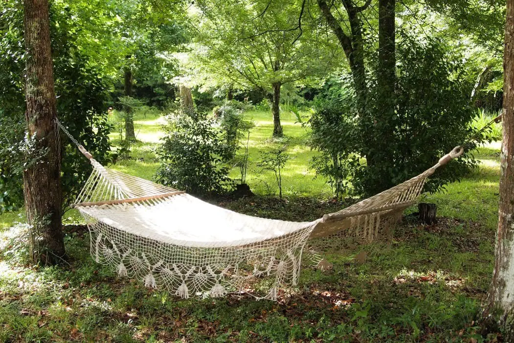 Hammock Haven