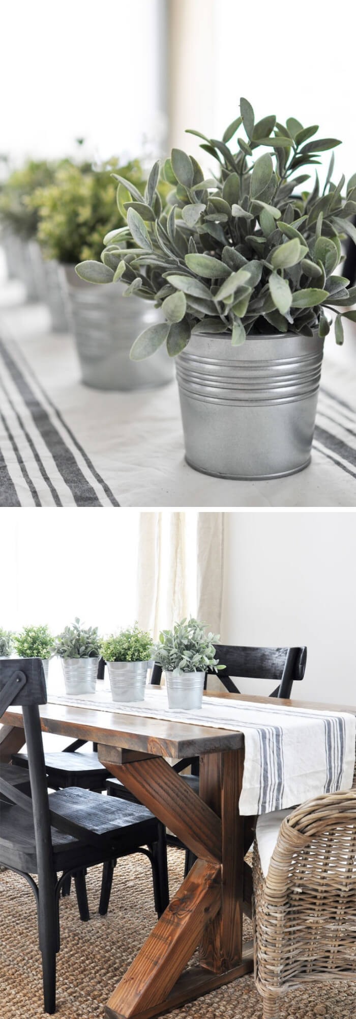 Herbs in Galvanized buckets