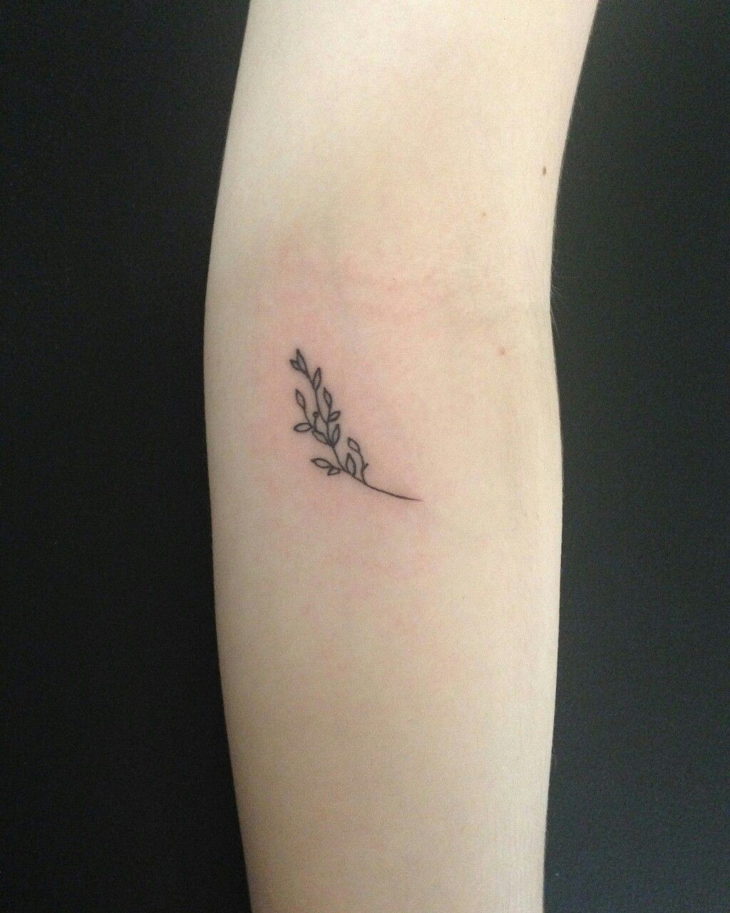 #8. The small olive branch tattoo.