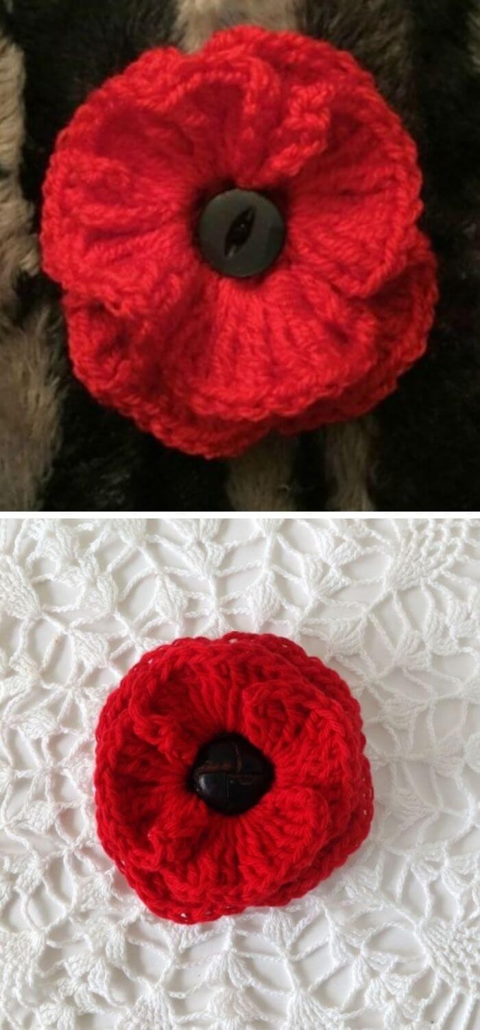 Button poppy flower