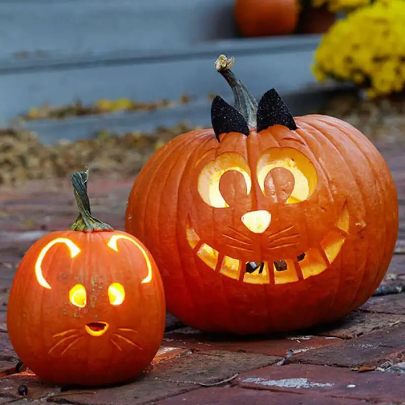 Big pumpkin carving ideas