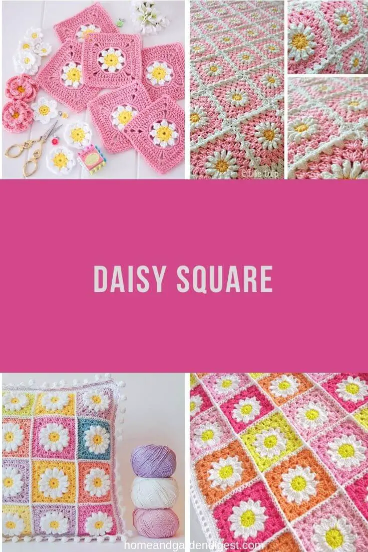 Daisy square