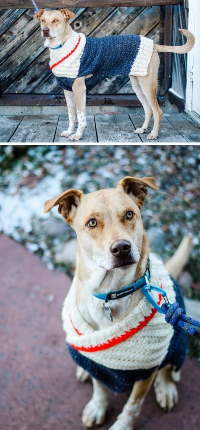 Easy crochet dog sweater