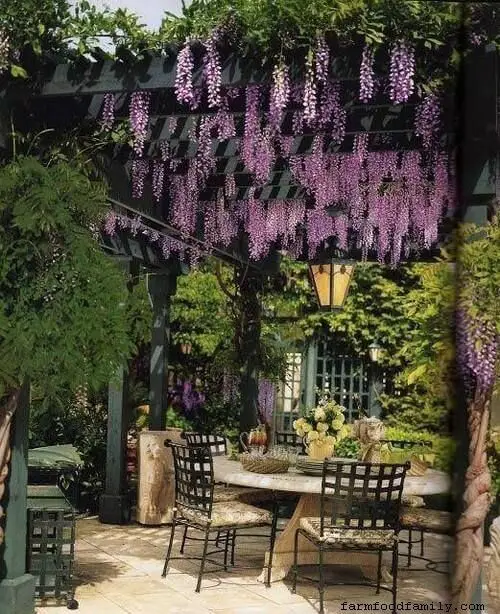 Cultured pergola shade