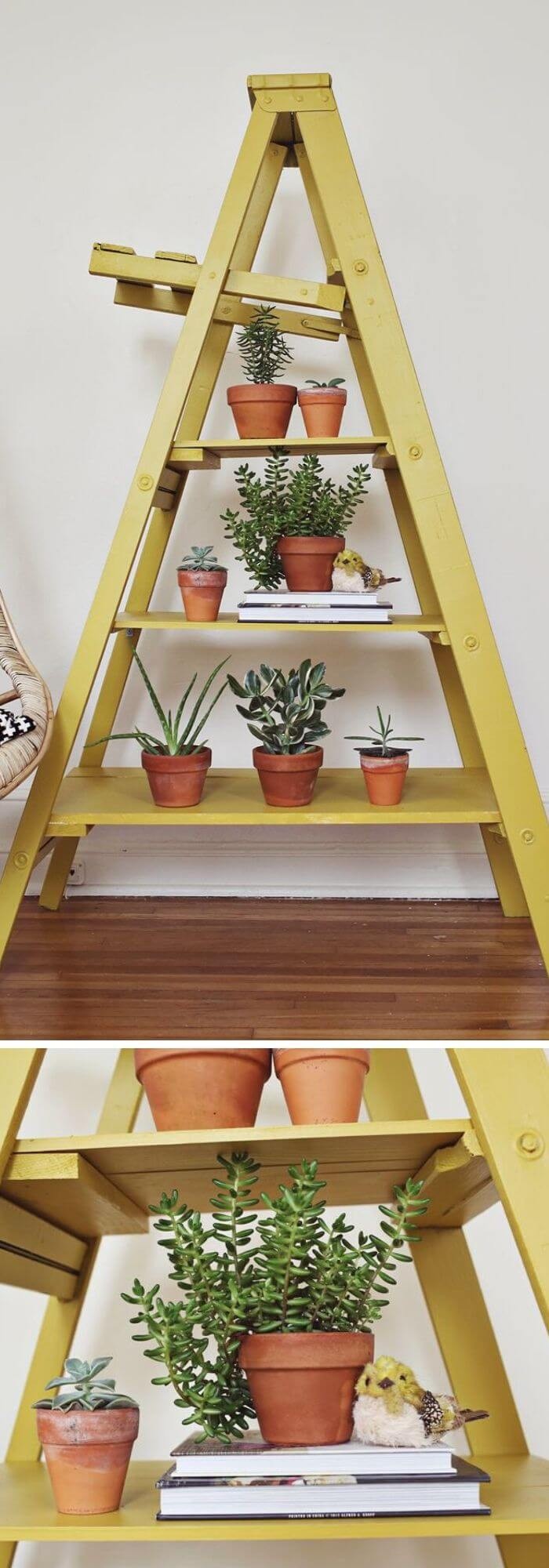 Flower Display Shelves Idea