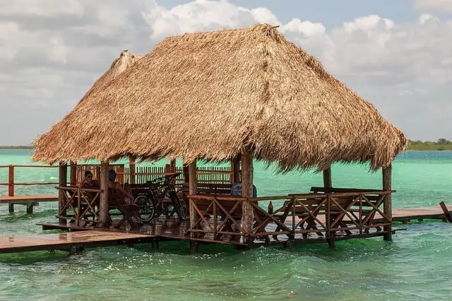 Build a Palapa in Your Backyard