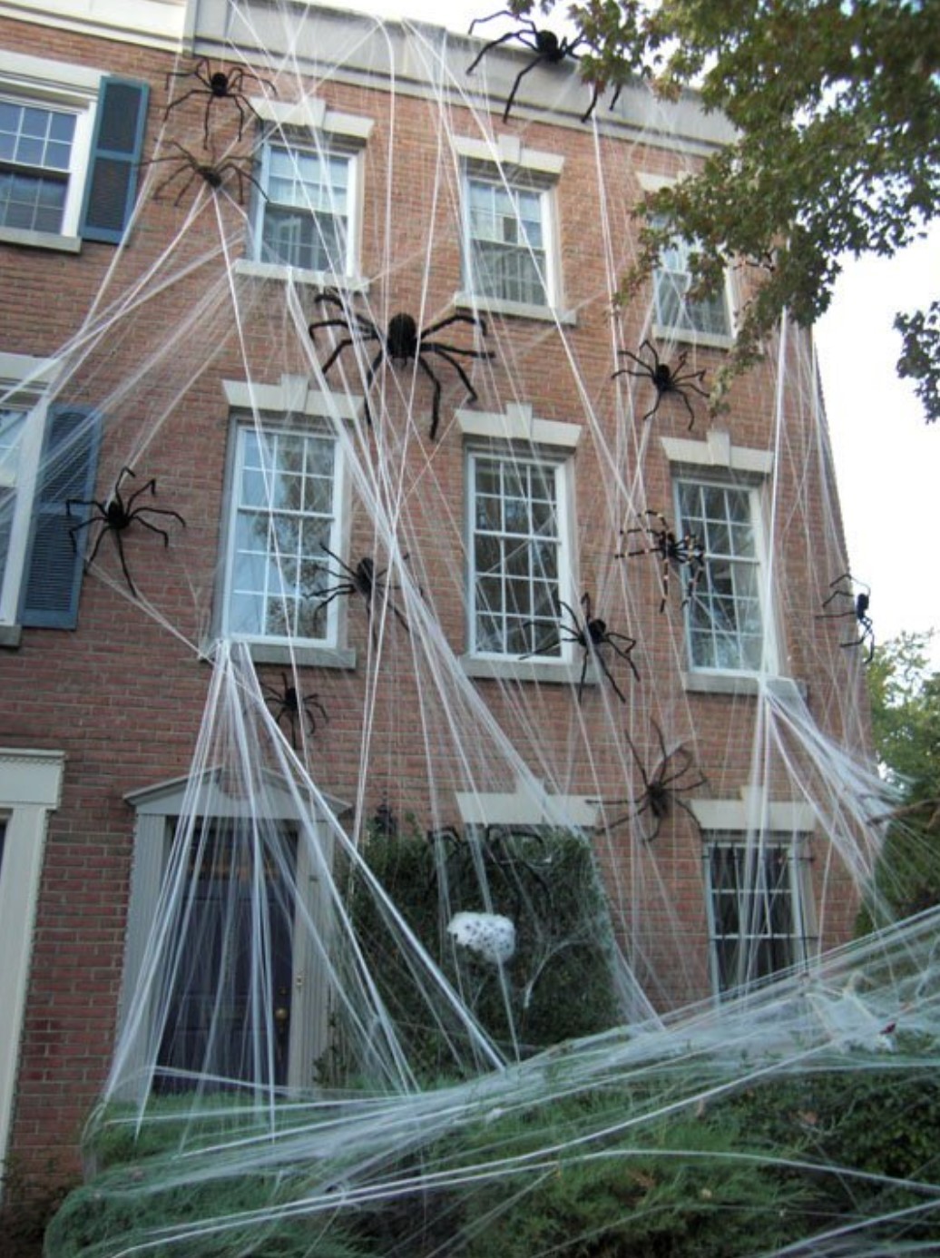 #18. Landing of spiders