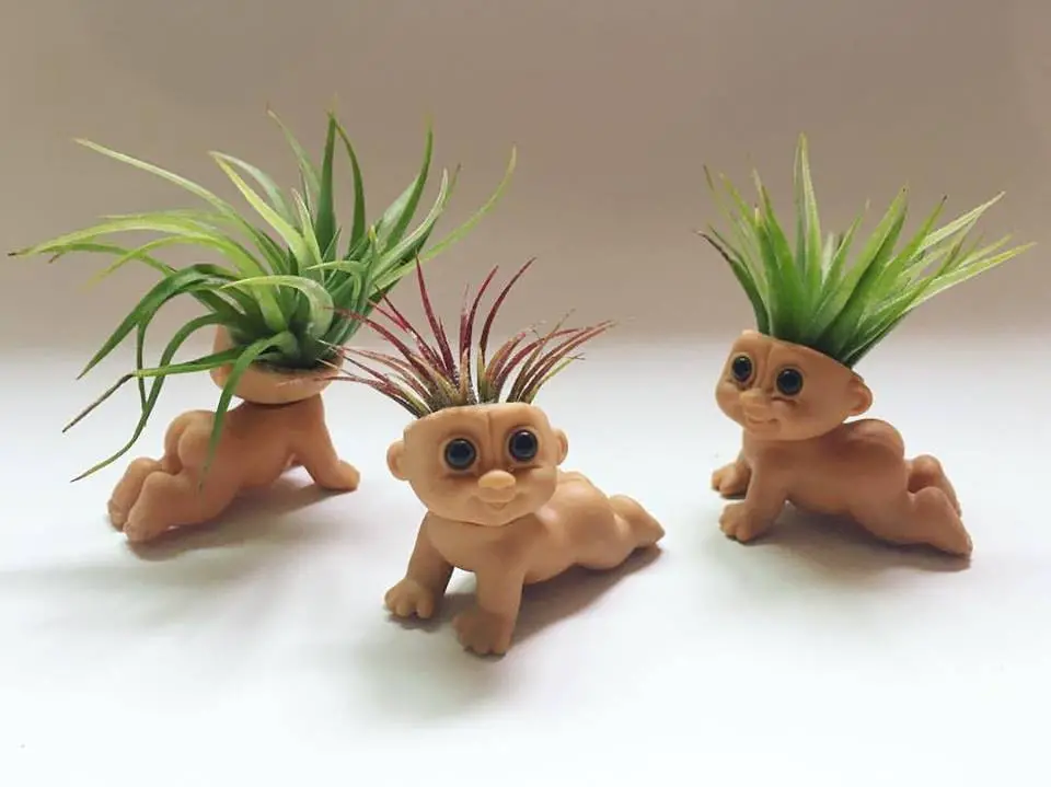 A Plantroll Is A Troll Doll With An Air Plant For Hair