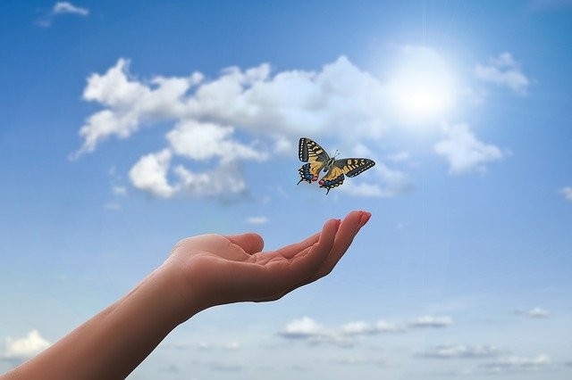 What does it mean when a butterfly flies around you?