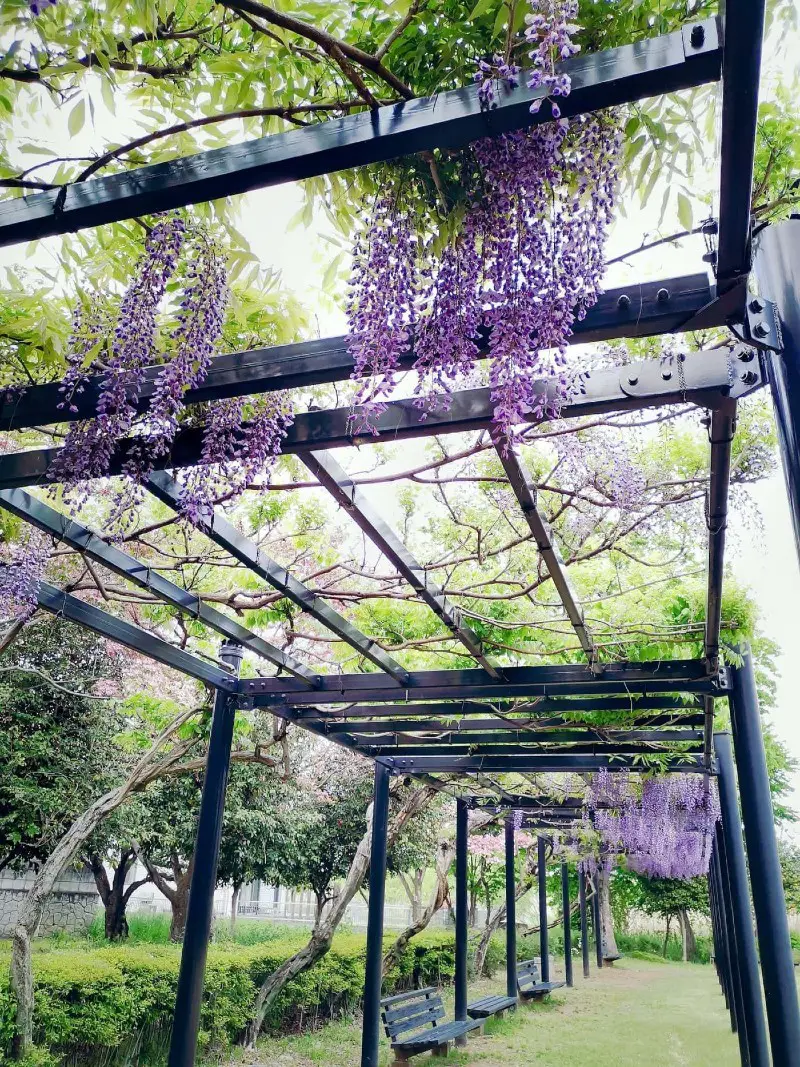 Do an Outdoor Grotto with A Pergola and Climbing Plants?