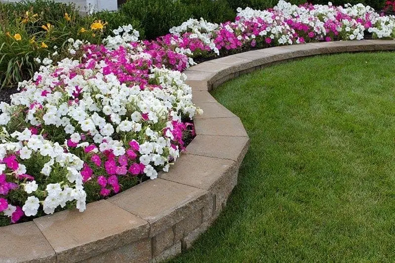 Stone Raised Beds