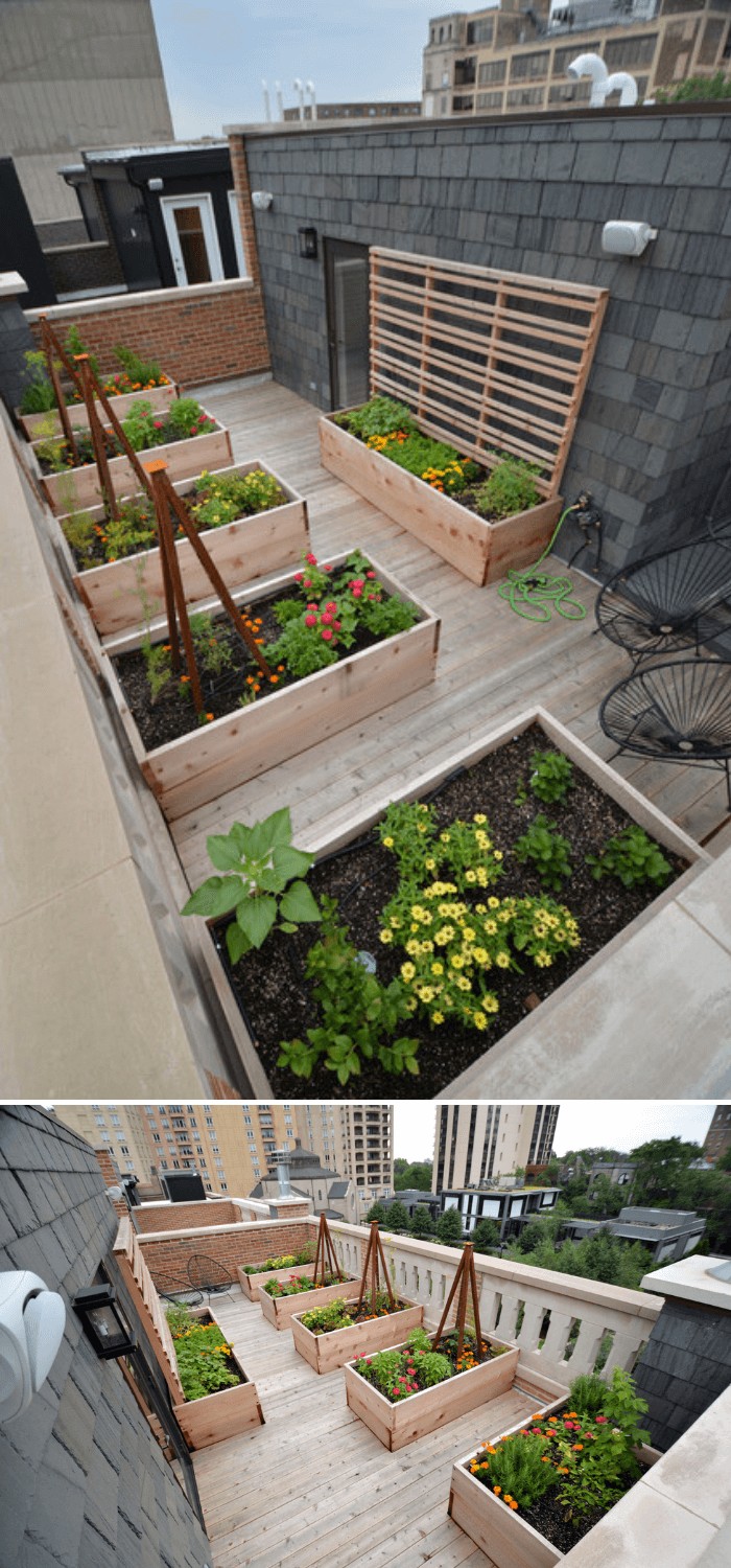 A mid-sized modern full sun rooftop landscaping with deck