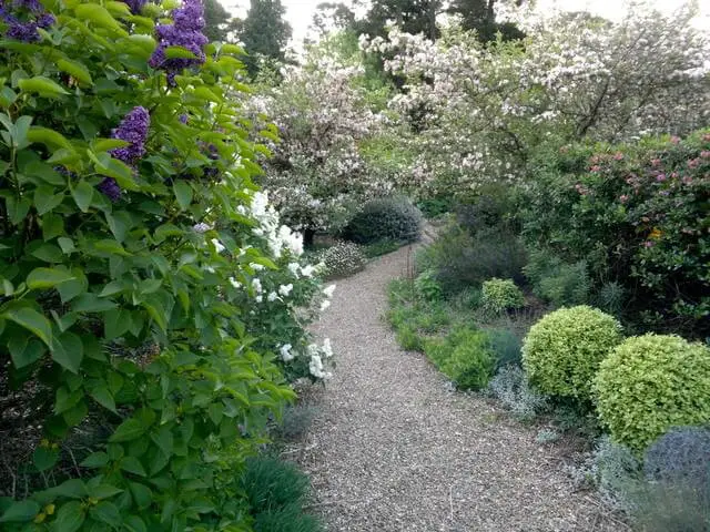 Lat houris Garden Eclectic Landscape